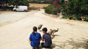 Gallery photo 3 for Half Day Tour for Kids in Naxos