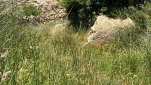 Gallery photo 3 for Play in Nature Kids Activities - Easy Hike at Apano Kastro