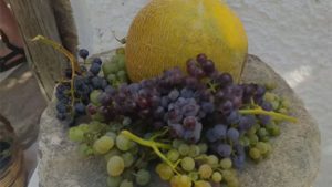 Gallery photo 5 for Learn About the Rural Island Life. Cooking Lesson in a Naxos Farm