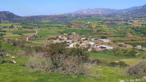 Gallery photo 8 for Learn About the Rural Island Life. Cooking Lesson in a Naxos Farm