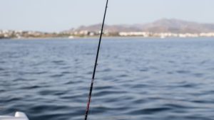 Gallery photo 2 for Yacht Fishing Expedition from Naxos. Around Naxos or Nearby Islands