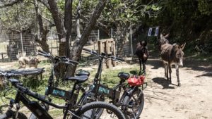 Gallery photo 1 for e-Assist Bike Tour in Naxos. Discover the Villages on our 