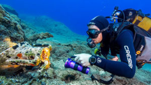 Main photo for Scuba Diver Certification in Amorgos