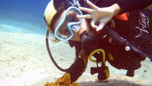 Main photo for Open Water Diver Certification in Amorgos