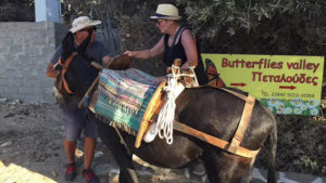 The preparation for the riders going to Butterflies Valley