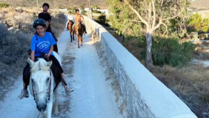 Gallery photo 3 for Horse Riding at Kakapetra in Paros. Beginners & Experienced Riders. Morning or Sunset