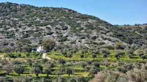 Gallery photo 2 for Looking Back in Time. Hiking Tour in Naxos