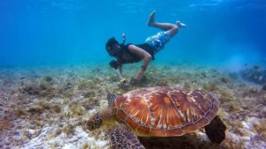 Gallery photo 2 for One Hour Snorkelling in Santa Maria Beach, Paros