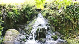 Once you reach potamia you can photograph the diverse and flourishing flora