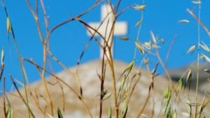 Gallery photo 6 for Photo Shooting Tour of Naxos Villages ('Melpomene')