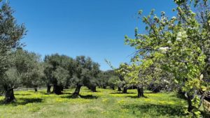 A general look at the farm