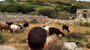 Gallery photo 6 for Hiking Tour on Naxos. Climb up to the Mountain of Zeus in 3 Hours