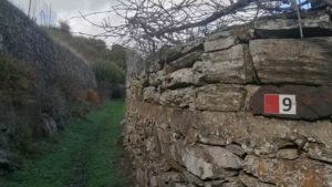 Gallery photo 5 for Hiking Tour on Naxos. Admire the Oldest Olive Tree in the World