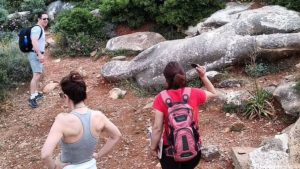 Gallery photo 7 for Hiking Tour on Naxos. Admire the Oldest Olive Tree in the World