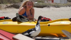 Gallery photo 6 for Sea Kayak Day Trip from Kampos Beach in Naxos with Transfer