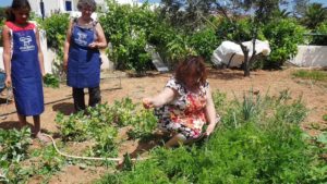 Gallery photo 1 for Greek Cooking Lesson in Ambelas, Paros