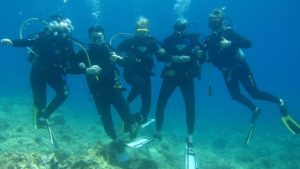 Main photo for Daily Dives for Certified Divers in Santa Maria Beach, Paros