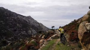 Gallery photo 1 for Cycling Tour in Naxos on an e-Bike for All Ages