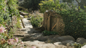 4 Hour Hiking Tour from Fotodotis Monastery (Danakos) to Apeiranthos Village photo