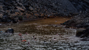 The famous natural mud baths