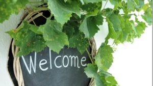 Main photo for Santorini Wine Tasting Tour