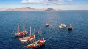 Step Back in Time and Sail in Style on a Wooden Sailing Ship