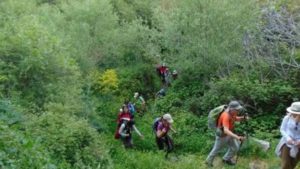 Gallery photo 1 for Tinos Hiking Tour from Pyrgos to Panormos