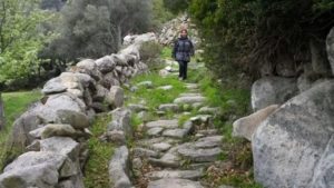 Main photo for Tinos Hiking Tour from Falatados to Livada Beach