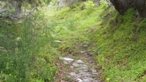 Main photo for Tinos Hiking Tour and Visiting the Mainland Villages