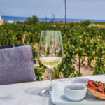 Santorini Vineyard Tours