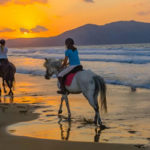 Naxos Horse Riding