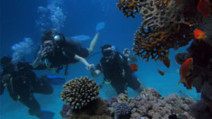 Gallery photo 3 for Second Dive in Naxos Town