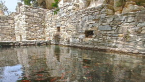 A pond with visible fish spotted during the hiking