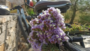 Main photo for Private Sunset Cycling Tour to Agios Fokas Βay With Picnic