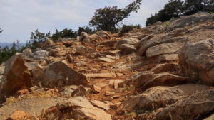 The view next to the sea side: a bit rocky, with thick bushes